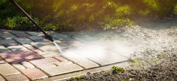 Best Animal Enclosure Cleaning  in Barclay, NJ